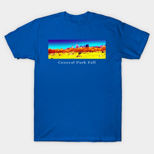 Central Park Fall T-Shirt by Affiliate_carbon_toe_prints